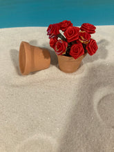 Load image into Gallery viewer, Terra Cotta Pots