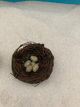 Load image into Gallery viewer, Birds Nest with Eggs