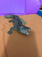 Load image into Gallery viewer, Miniature Crocodile
