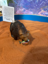 Load image into Gallery viewer, Mini Grizzly Bear
