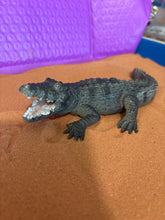 Load image into Gallery viewer, Miniature Crocodile

