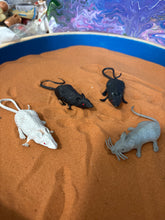 Load image into Gallery viewer, Miniature Mice/Rats
