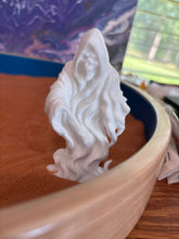 Load image into Gallery viewer, Miniature White Reaper

