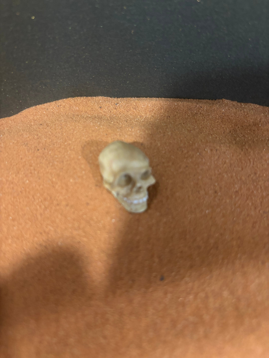 Tiny Skull