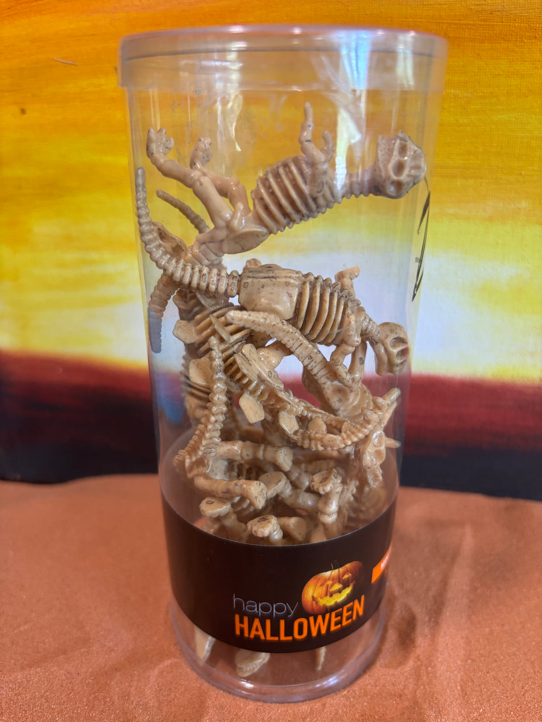 Mini Skeleton Dinosaurs