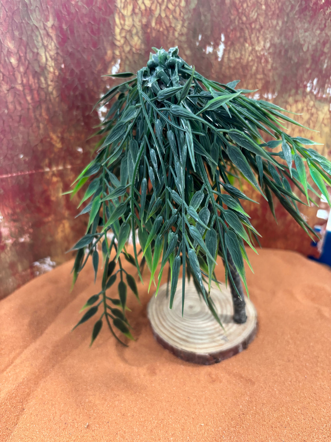 Mini Weeping Willow Tree
