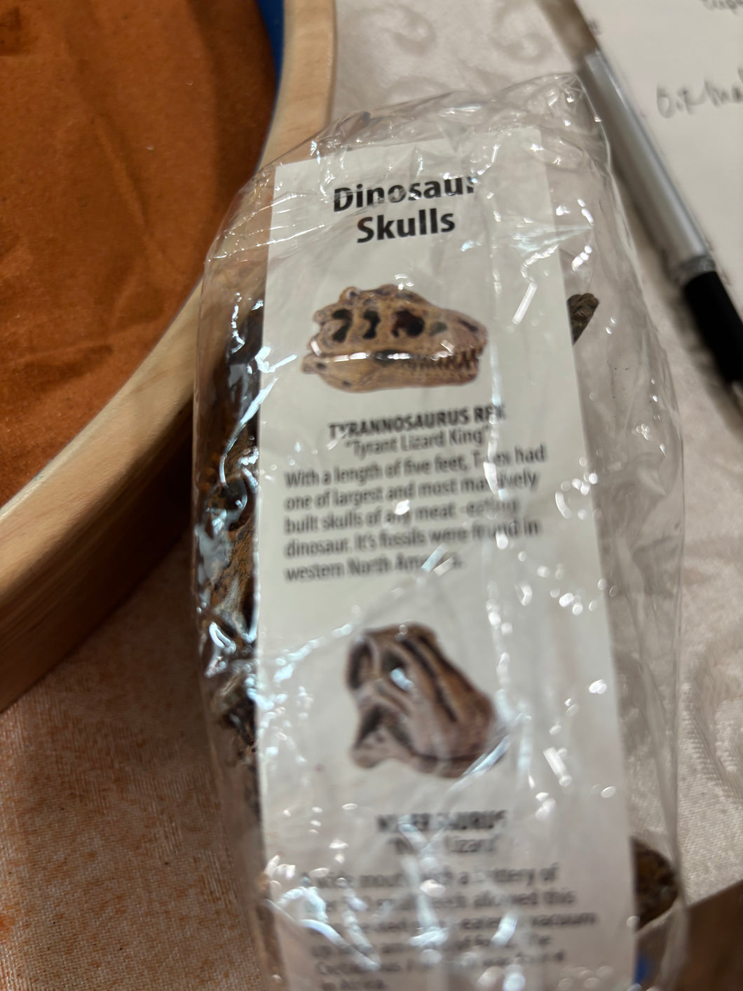 Mini Dinosaur Skulls