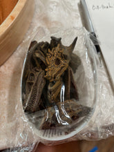 Load image into Gallery viewer, Mini Dinosaur Skulls
