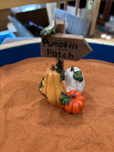 Load image into Gallery viewer, Mini Pumpkin Patch
