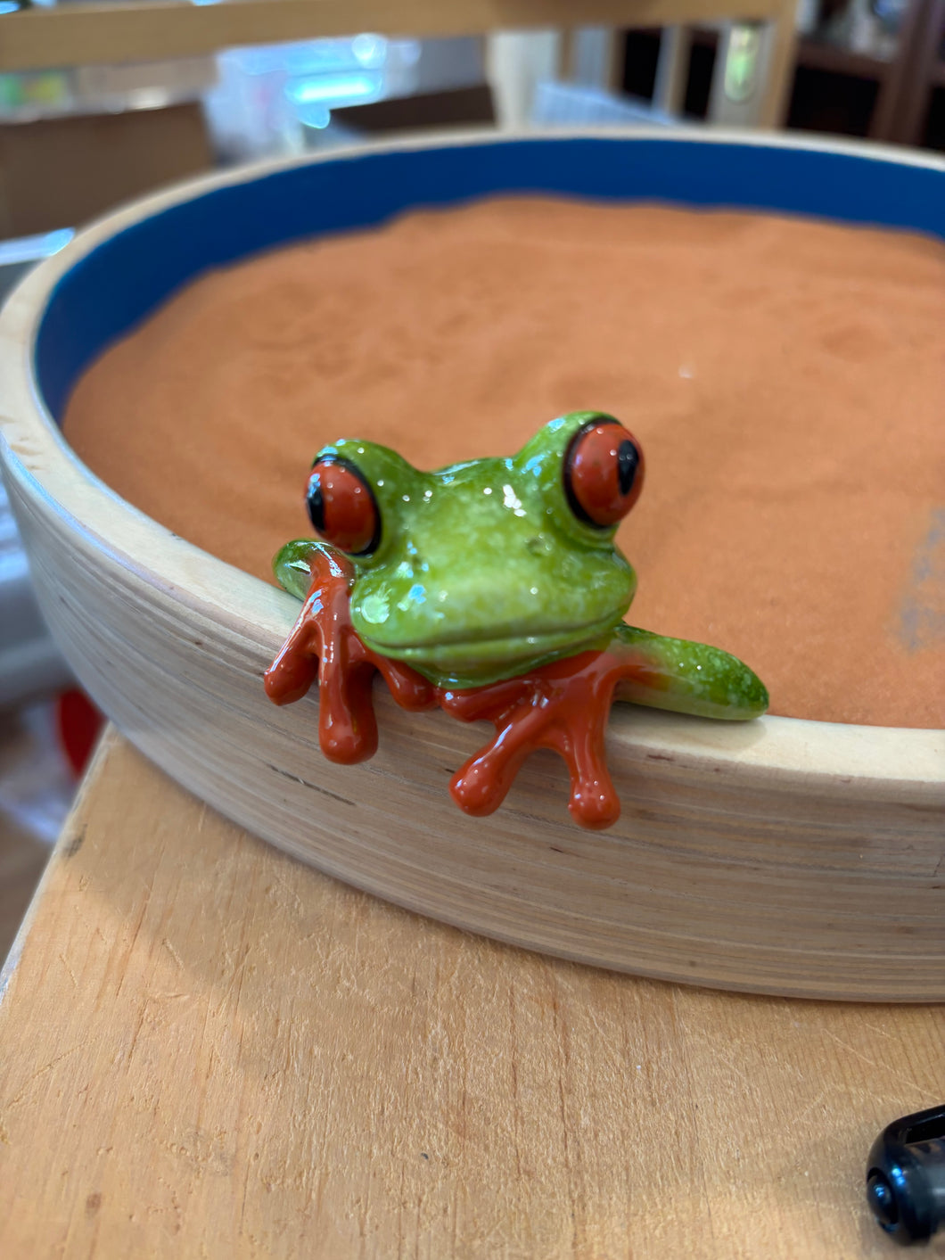 Cute Mini Frog on the Edge