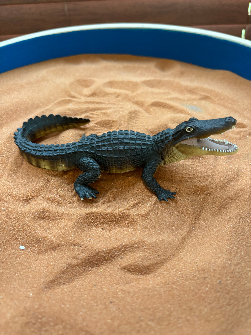 Alligator Miniature