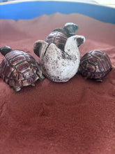 Load image into Gallery viewer, Vintage Castanga Hatching Tortoise Figure
