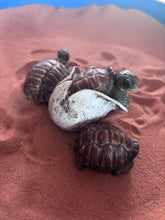 Load image into Gallery viewer, Vintage Castanga Hatching Tortoise Figure
