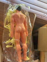 Load image into Gallery viewer, Miniature Human Body Kit 12”
