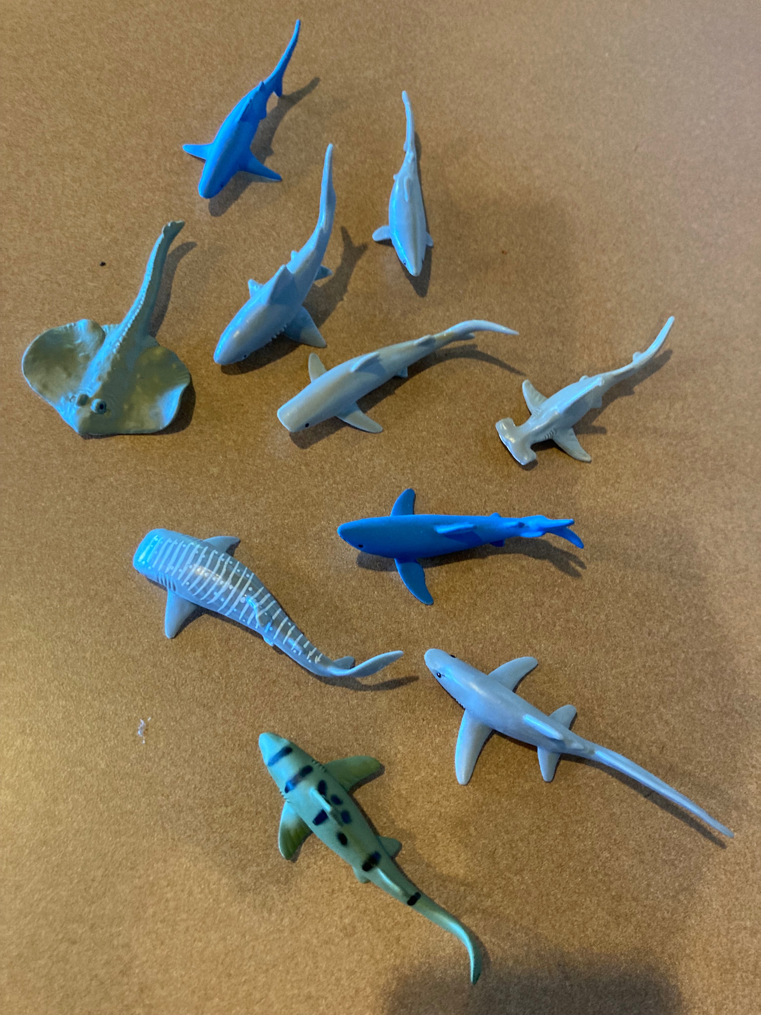 Miniature Sharks Toy Set – Suzy's Play Therapy Toybox