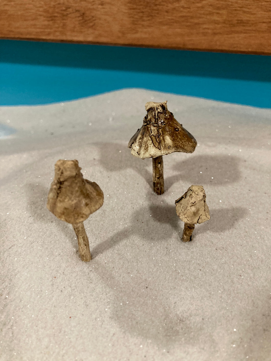 Toadstools