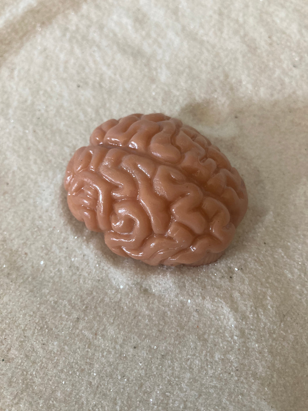 Realistic Brain Minature