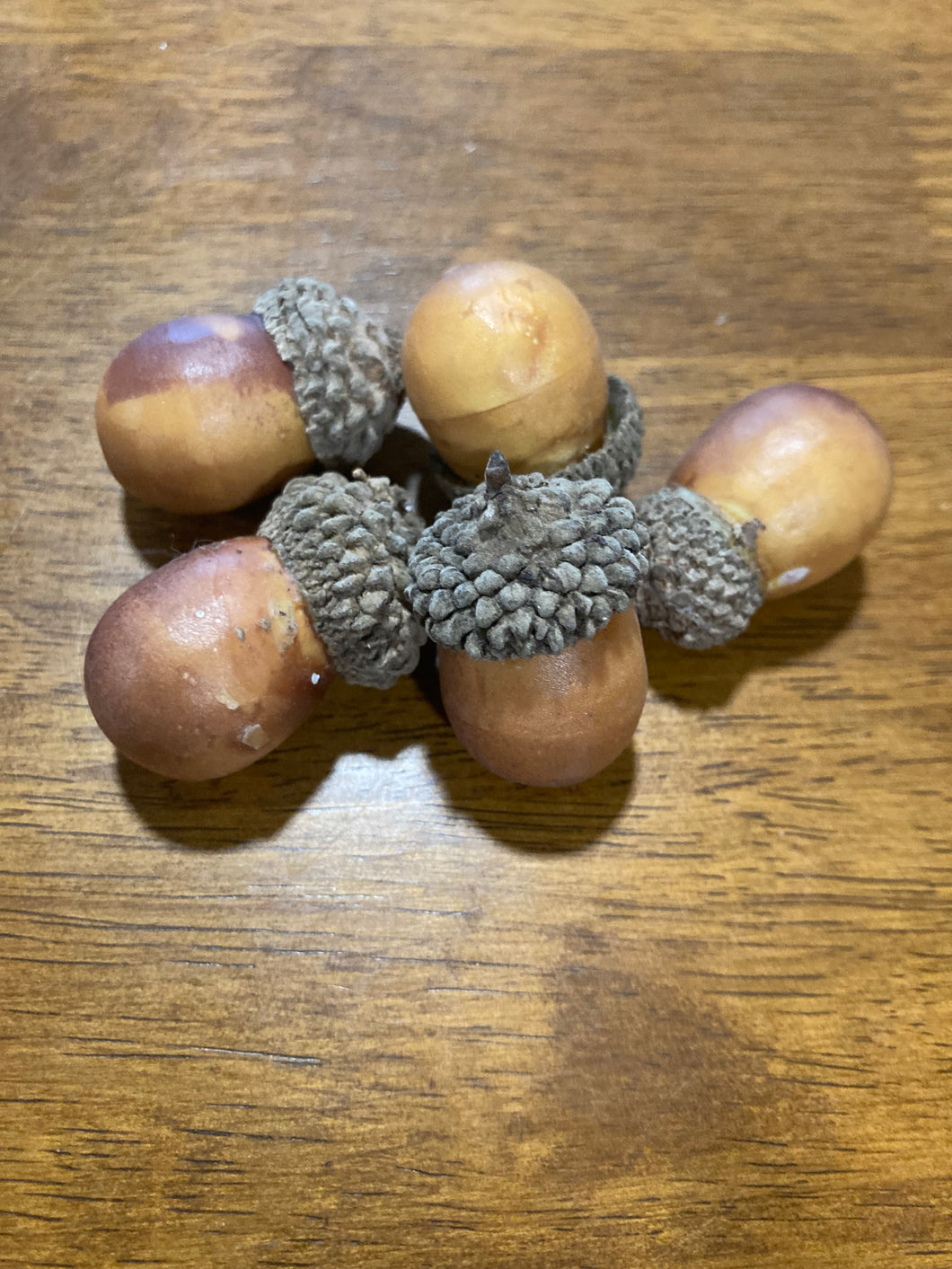 Natural Acorns 1-1.5”