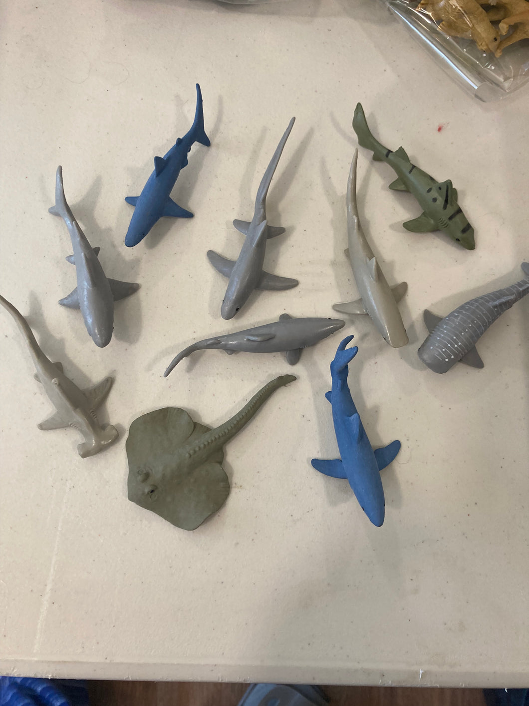 Sharks