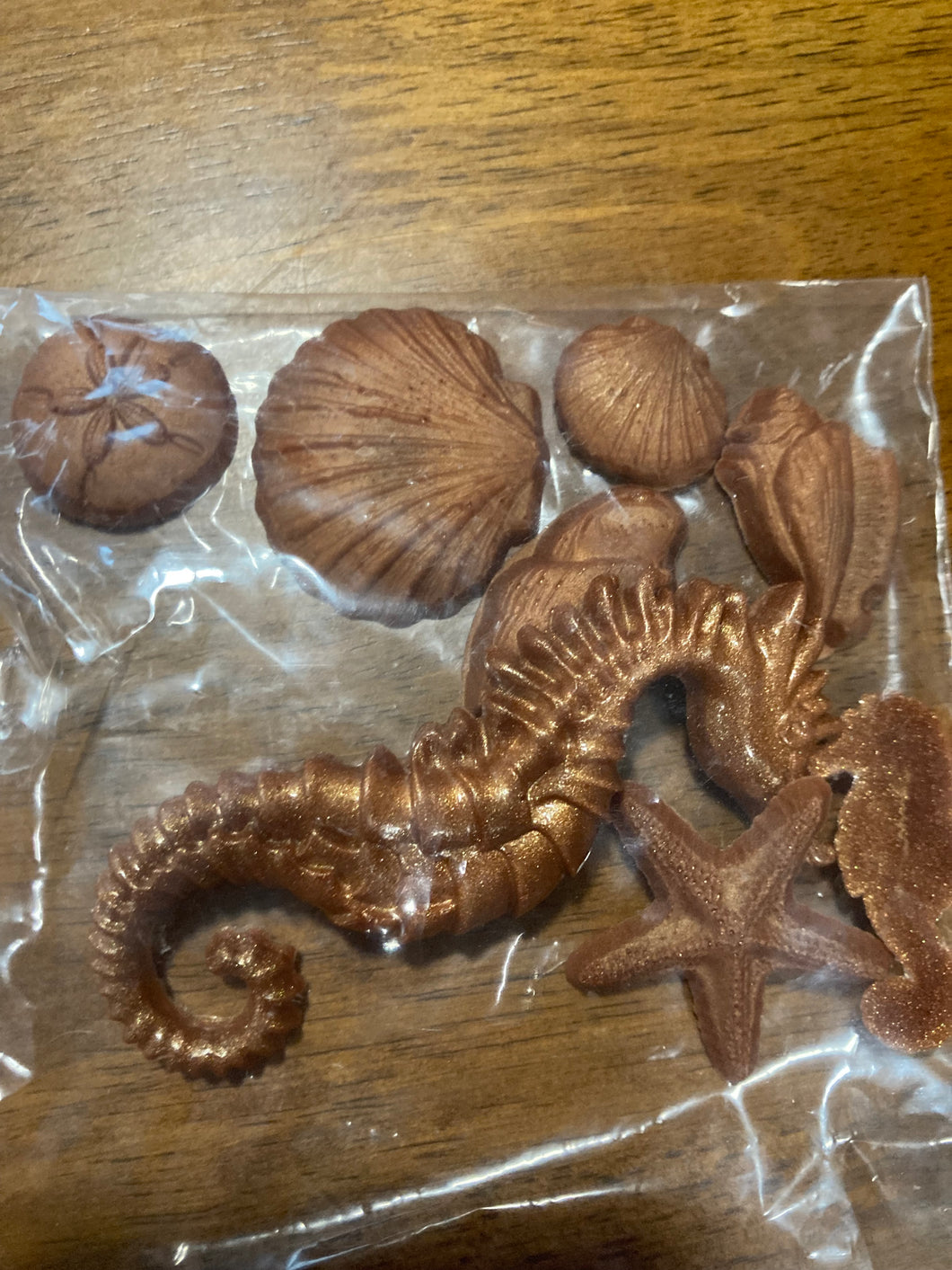 Sea Horse & Seashells
